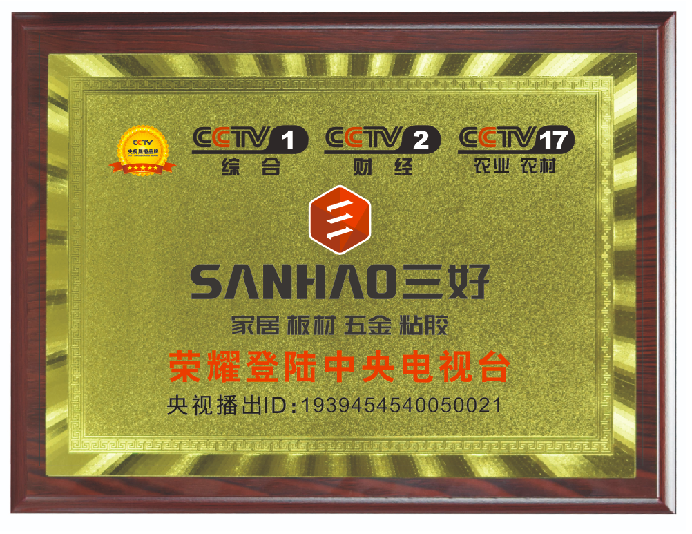 榮耀登陸中央電視臺