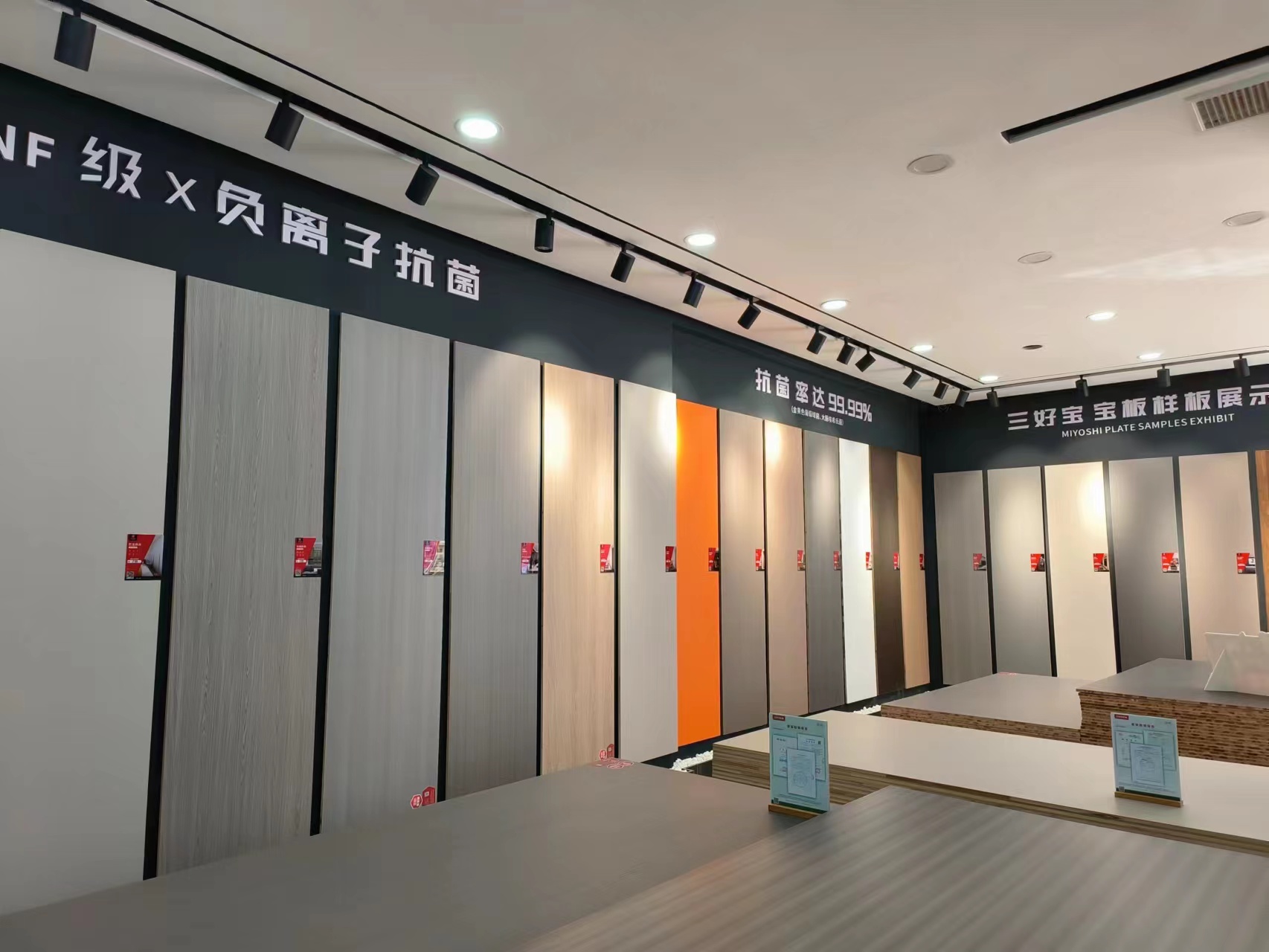 樣板展示.jpg